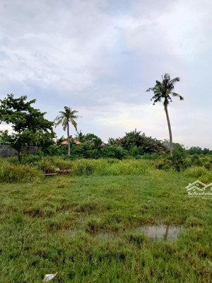 bán 16.500m2 đất mặt tiền đường trường lưu, long trường quận 9 dt 50 x 330