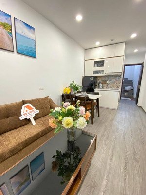 căn hộ siêu xinh giá rẻ 2n1k phù hợp gia đình và nhóm bạn - ô tô cách nhà 10m, bãi 50m