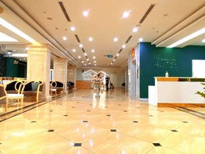 chính chủ bán nhà mp trần thái tông, cầu giấy, dt 105m2, mt 6m, 8 tầng tm, 63 tỷ