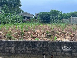 đất ba trại 12,6m mt thuộc tuyến 2 đường tl, cách tl87a chỉ 80m, gần trường, chợ, cách k9 hơn 1km