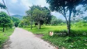 cần bán lô đất 3 mặt đường tại lương sơn, hb (phú thọ) diện tích 1540m/120m tc. đất đẹp giá hợp lý