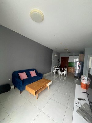 cho thuê căn 62m2 tara số 1a tạ quang bửu full nt 10tr