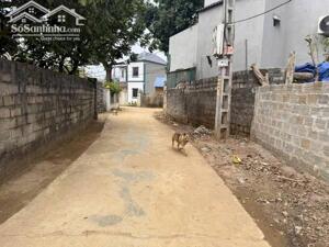 BÁN ĐẤT TẶNG NHÀ CẤP 4 SẴN Ở TẠI LẶT YÊN TRUNG, GẦN KHU CN QUANG TIẾN, GIÁ HƠN 2 TỶ XÍU LH 0866990503