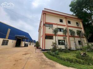 Cho Thuê Nhà Xưởng 10.800m2 tại Bến Cát Bình Dương