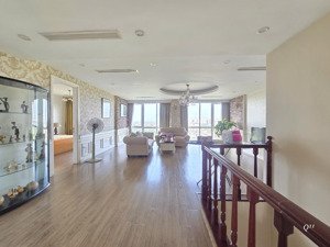 cho thuê căn penthouse rừng cọ, full nội thất, giá tốt