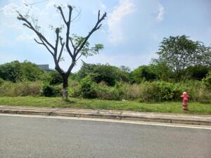 Bán đất xây dựng xưởng 35,000m2 KCN Long Thành, Đồng Nai