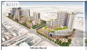 bán đất trần văn quế đối diện 10 tòa chung cư ecohome, hòa hiệp nam, liên chiểu, đà nẵng,