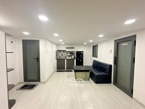 cho thuê chung cư mini 2pn, 1wc, 55m2, giá siêu hời tại phó đức chính, q1, hcm