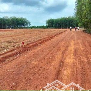 chính chủ bán đất đầu tư đất tân hòa đồng nai mới , shr