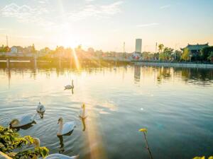  CHO THUÊ NGUYÊN CĂN 4 TẦNG MẶT PHỐ MÊ LINH - LÔ GÓC RỘNG RÃI