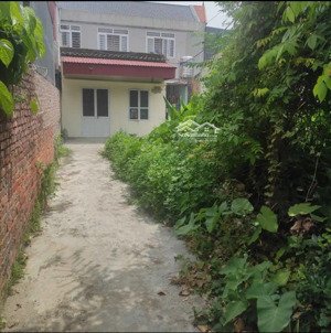 chính chủ cần bán đất 188m2 tại ngõ 80 đường đình đoài, hải sơn, đồ sơn, hải phòng