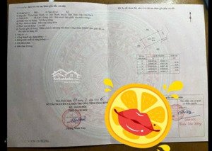 bán gấp 2 lô đất giá đầu tư 100m mt5m hơn 700tr