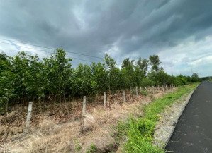 bán 2,7ha đất xã bình châu, huyện xuyên mộc, brvt