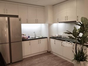 chủ nhà thiện chí bán nhanh căn 2pn sáng 83 m2, tại times city, giá 7.45 tỷ, đủ đồ, sổ đỏ chính chủ