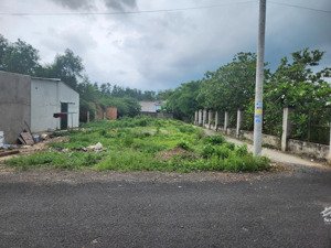 bán đất 2 mặt tiền sát quốc lộ 55 kế bên chợ bông trang