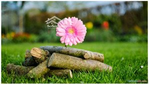 bán ch nam phúc - le jardin, 12 tỷ, 124m2, 3pn + 2wc, view trực diện công viên đẹp