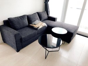 ho thuê gấp căn hộ the hamona - chính chủ, không qua môi giới