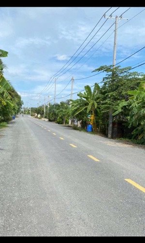 bán đất mặt tiền trương văn đa tặng nhà cấp 4, xã bình lợi, bình chánh, 5x38m thổ cư 116m. 2 tỷ 950