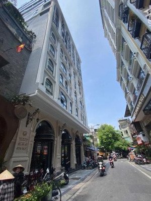 bán nhà mặt phố gia ngư, 1,4 tỷ/m2, 160 m2, hàng hiếm đầu tư - khách sạn 3 phút đi bộ ra hồ gươm