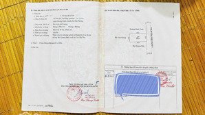 - hàng hót tân thành - cuối ngõ 113 - diện tích 200m2 (mặt tiền 10 vuông vắn)
- mặt đường thông, r