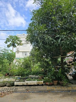 đất mặt tiền phạm đôn lễ, phường thạnh mỹ lợi, quận 2, diện tích 99.8m2, giá 13 tỷ