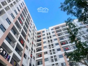bán nhanh căn chung cư xh1 vcn phước long dt 42,3m2 có 1pn, căn trống, đang cho thuê, giá 1ty350 tl