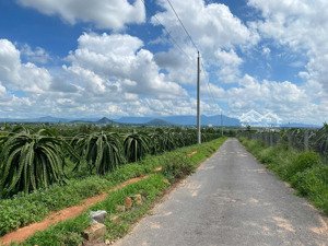 bán đất vườn hướng biển giáp suối xã hàm cường giáp hàm kiệm