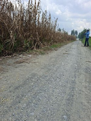 bán đất thổ cư mặt tiền kênh sáu xe