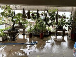 bán căn nhà vườn, đường nguyễn văn cừ, lô góc, ô tô tránh, hàng xóm chung cư beriver