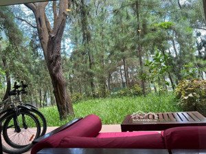 bán căn villas tại flamingo đại lải