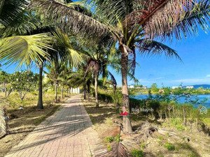 chính chủ hơn 50 lô liền kề, biệt thự, lô góc, vị trí đẹp giá tốt nhất dự án kđt ven sông tắc