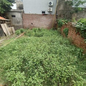 cần xả gấp 50m vuông vắn , oto nhỏ vào , ngõ thông thẳng 100m ra trục chính chỉ 2,6 tỉ