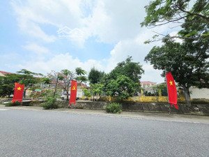 lô đẹp nhất đấu giá vũ vị minh tân