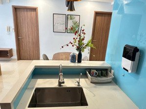 cho thuê xăn hộ theview 2pn2wc