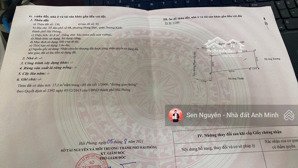 mặt đường trục chính phạm gia mô