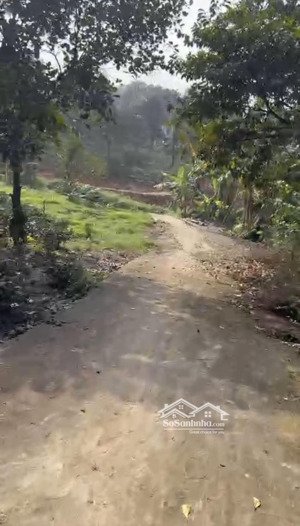 hàng hot thôn 9 ba trại chính chủ gửi bán đất diện tích 1356m2, ngõ to ô tô vào tận nơi