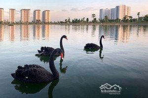 chính chủ cần tiền bán gấp biệt thự 200m2 khu đô thị thanh hà cienco 5, hà đông, hà nội