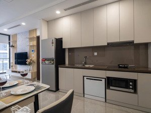 cho thuê căn 1 ngủ 52m2 full nội thất rẻ nhất thị trường tại sunshine green iconic long biên