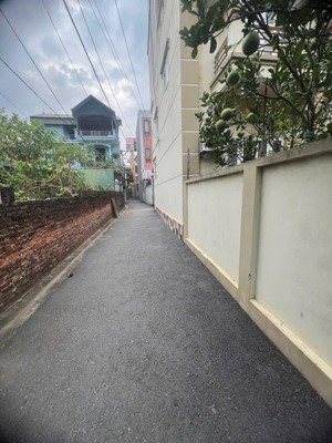 dân cư đông đúc sầm uất, mảnh đất cho các nhà đâu tư tiềm năng