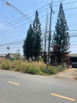 mặt tiền mai chí thọ, tam phước, biên hoà. 3,2 sào (32x100m). có 175m2 thổ cư. chỉ 3,9tr/m2