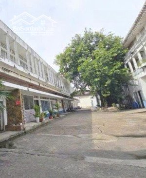 kho đẹp cần cho thuê gấp ở tôn thất thuyết diện tích 250m2 đường cont