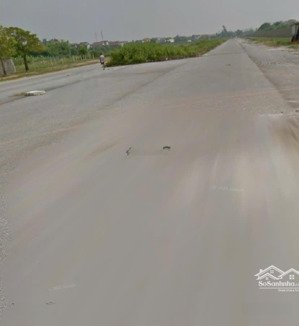 lô góc đấu giá hương đình rẻ hơn khu vực chỉ hơn 5x