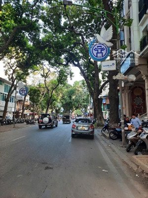 mặt phố trung tâm ba đình phố cổ ~200m2