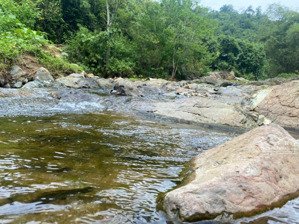 siêu phẩm bám mặt đường 250m, bám suối 200m cực đẹp xem ngay kẻo lỡ kim bôi hòa bình giá rẻ