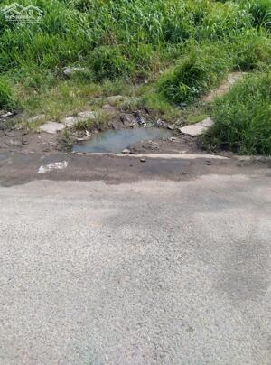 Bán Lô Đất Mặt Tiền Đường Lương Văn Nho, KDC Cư Xá Phúc Hải, Phường Tân Phong.