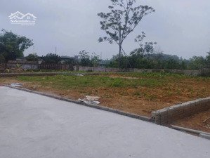 chính chủ bán đất 371m2 tùng thiện hà nội, quy hoạch chuẩn, chia lô được. mt rộng, ô tô vào tận nơi