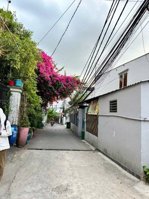 bán nhà cấp 4 2 mặt tiền hẻm xe hơi thông, p. tăng nhơn phú a, q9 cũ, 4,8 tỷ ~ 114m2 sd