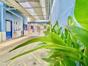 chính chủ bán khu nhà trọ ở phường linh đông, thủ đức, doanh thu khai thác gần 1tỷ đồng/năm