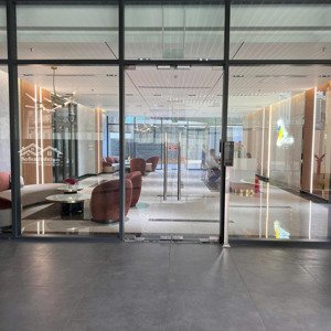 giỏ hàng chuyển nhượng căn hộ d-homme hồng bàng mới nhất