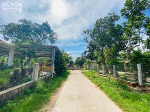 Lô đất mặt tiền Cao Bá Đạt, Phường Thanh Thủy, Thành Phố Huế.